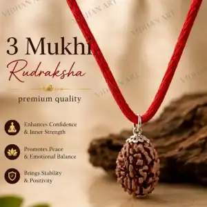 Original 3 Mukhi Nepali Rudraksha front view with three natural faces