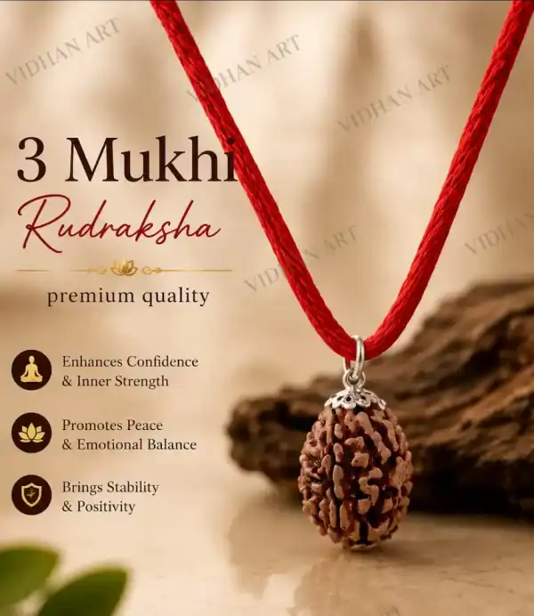 Original 3 Mukhi Nepali Rudraksha front view with three natural faces