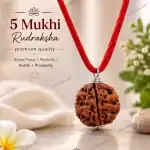 Original Nepali 5 Mukhi Rudraksha – Certified Bead for Peace & Focus