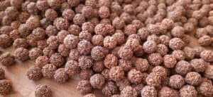Original 5 Mukhi Rudraksha bead showing natural lines and texture
