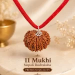 11 Mukhi Nepali Rudraksha Premium Quality Original Natural Pendant with Red Sacred Thread