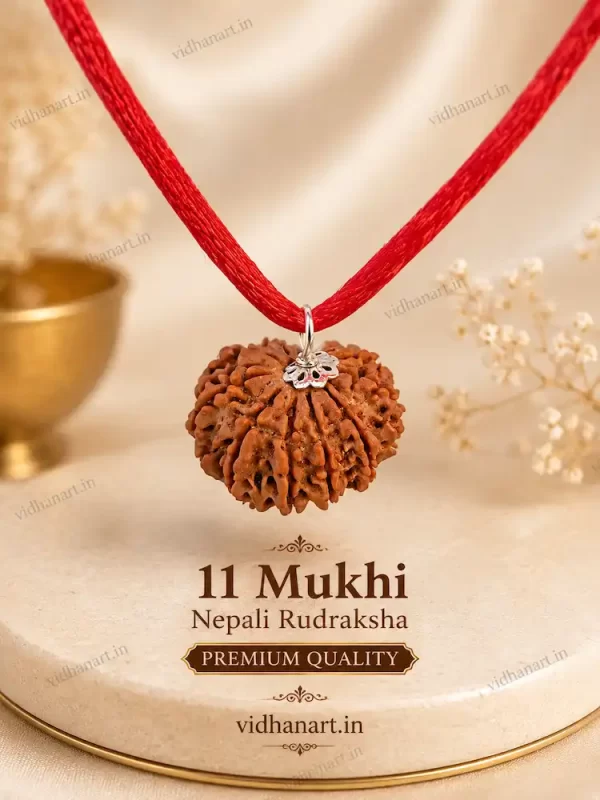 11 Mukhi Nepali Rudraksha Premium Quality Original Natural Pendant with Red Sacred Thread
