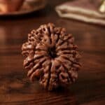 Original 12 Mukhi Nepali Rudraksha bead with natural lines and texture