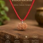 Authentic 12 Mukhi Rudraksha Pendent from Nepal with clear mukhi lines