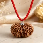 Original 14 Mukhi Nepali Rudraksha Natural Pendant with Red Sacred Thread