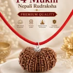 14 Mukhi Nepali Rudraksha Premium Quality Original Natural Bead Pendant with Red Thread | Vidhan Art
