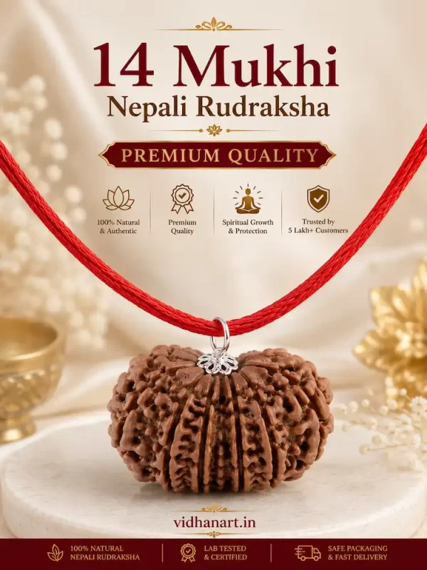 14 Mukhi Nepali Rudraksha Premium Quality Original Natural Bead Pendant with Red Thread | Vidhan Art