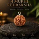 Natural 4 face Nepali Rudraksha bead close-up view