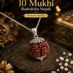 Authentic 10 Mukhi Rudraksha bead showing ten natural mukhi lines clearly on a clean background.