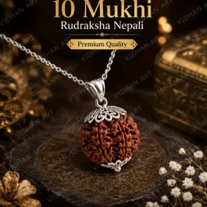 Authentic 10 Mukhi Rudraksha bead showing ten natural mukhi lines clearly on a clean background.