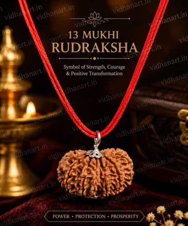 Original 13 Mukhi Nepali Rudraksha front view with thirteen natural mukhis