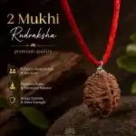 2 Mukhi Rudraksha