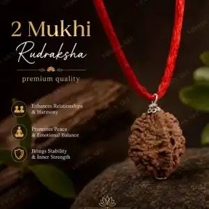 Original 5 Mukhi Nepali Rudraksha front view with five natural faces
