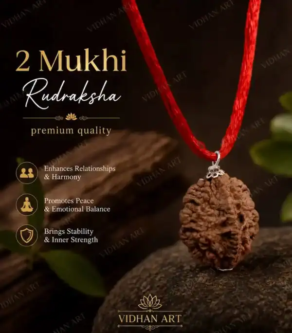 Original 5 Mukhi Nepali Rudraksha front view with five natural faces