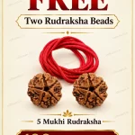 FREE 5 Mukhi Rudraksha Nepali - 2 piece
